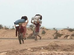 CLEAN: Moroccan red algae: an endangered treasure News Clip