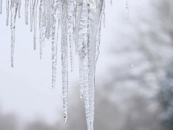 Icicle Thaw Stock Footage