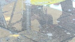 CLEAN : Hungary: Migrants in transit react to Austra van tragedy News Clip