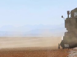 Close-up of combine harvester harvesting wheat field Stock Footage