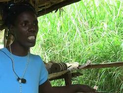 VOICED: DR Congo 'biomass' logs fuel green alternative to coal News Clip