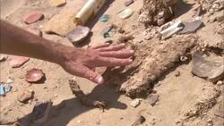 An archaeologist examines shards of pottery and tablets in Berenike, Egypt. Stock Footage