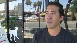 One man's mission to save dogs from being slaughtered News Clip