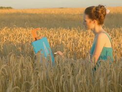 Young woman drawing outdoors in wheat field Stock Footage