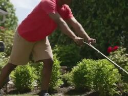MS PAN Man mowing lawn with manual mower / Portland, Oregon, United States  Stock Footage