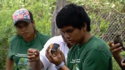 Galapagos: Goodbye Lonesome George, hello Diego! News Clip