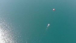 Alice Dearing swimming in a large lake in England News Clip
