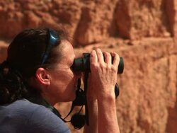 Birder in Eilat Mountains, watching binoculars at spring mass birds migration Stock Footage