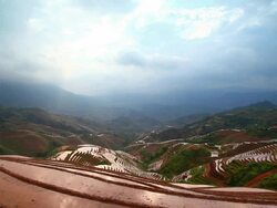 Longji Terraced Fields Stock Footage
