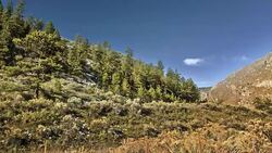 Mountains Stock Footage