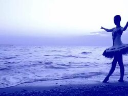 ballet in the moonlight Stock Footage