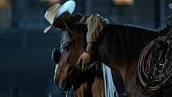 SLO MO Herdsman stroking horse on nose at night Stock Footage