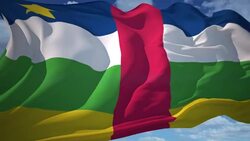 Flag of Central Africa Stock Footage
