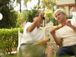 Two senior men eating corn in a lawn  Stock Footage