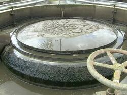MS Shot of Clarifying basin at purification plant / Konz, Rhineland-Palatinate, Germany Stock Footage