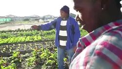 Overshoulder young man talking to mentor Stock Footage