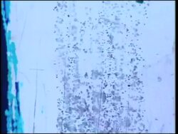 Scratched film with animated typography Stock Footage