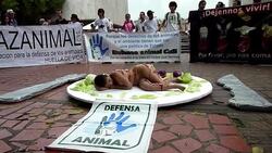 VOICED: Desnuda contra el consumo de carne News Clip