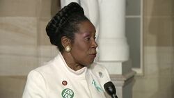 Congressmembers give Trump speech mixed reviews Instructional Video