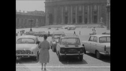 CAN586 WOMAN BRINGS STRAY DOGS HOME, KEEPS HUNDREDS IN YARD Instructional Video