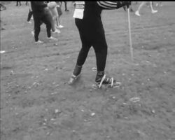 WINDSOR CHARITY WALK News Clip