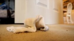 The Lonely Sock Stock Footage