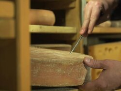 CU hands of cheese maker checking cheese in maturing cellar by first using a little hammer to feel for cavities then taking a sample and checking its consistency Stock Footage