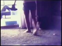 1970s Girl Plays With Pet Dog (Shot on 8mm Film) Stock Footage