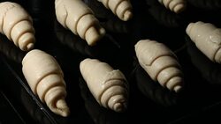 Fermenting croissants in the oven plate Stock Footage