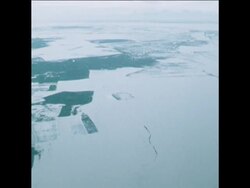 SYND 2 11 78 AFTERMATH OF TYPHOON News Clip