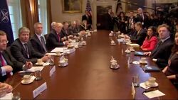 Trump Defends 'Animal' Comment, Takes on EU News Clip