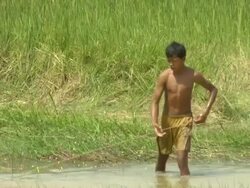ZI Boy fishing with net / Cambodia Stock Footage
