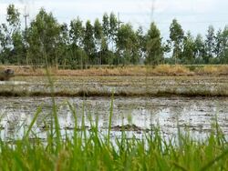 Farming Stock Footage