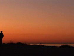 HD: Jogging In The Sunset Stock Footage