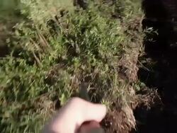 HD - Black Helmet Under Rifle Sight Stock Footage