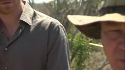 Prince Harry Visits Kruger National Park News Clip