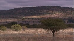 Storm clouds cast long shadows across a savannah. Stock Footage
