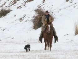 TS Man on horse walking with dog in the snow / Shell, Wyoming, United States Stock Footage