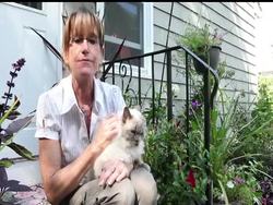 His name is Frank and Louie, and he's just entered the record books. He's now the longest-living cat with two faces, also known as a Janus cat. (Sept. 29) News Clip