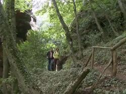 WS PAN View of hikers hiking in forest / Kastel-Staadt, Rhineland-Palatinate, Germany Stock Footage