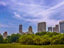 Central park New York Stock Footage