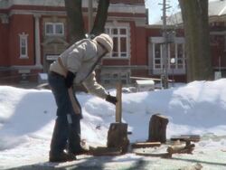 MS T/L Young man proudly chops small piece of wood with axe in winter day / Toronto, Ontario, Canada  Stock Footage