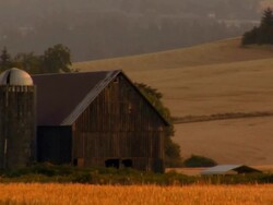 Summer Barn Stock Footage