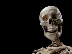 Skeleton talking Stock Footage