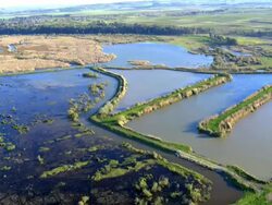 Aerial Hula Lake in the Upper Galilee, Israel, Hula valley, Israel Stock Footage