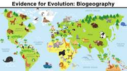 The Evolution of Populations: Natural Selection, Genetic Drift, and Gene Flow Instructional Video