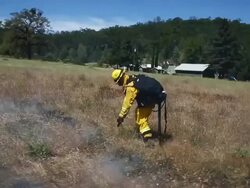 California Firefighters Undergo Training For Controlled Burns During Wildfires Stock Footage