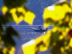 HD Fishing Long Shot_1 (1080/24P) Stock Footage