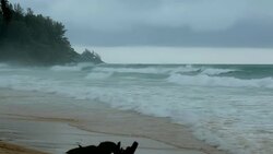 Ocean Waves. Stock Footage