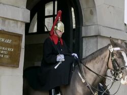 MS Horse guard standing at whitehall / London, England, Great Britain  Stock Footage